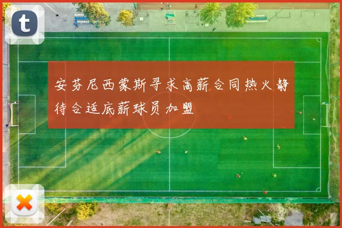 安芬尼西蒙斯寻求高薪合同热火静待合适底薪球员加盟
