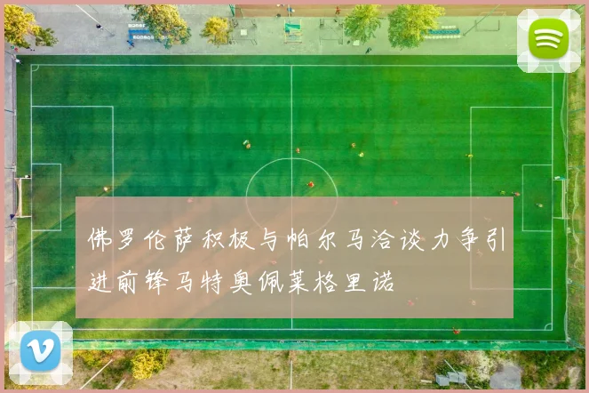 佛罗伦萨积极与帕尔马洽谈力争引进前锋马特奥佩莱格里诺